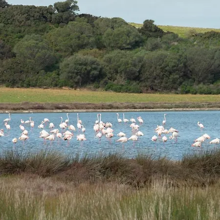 Casa de Férias La Torre Libeccio Torre dei Corsari
